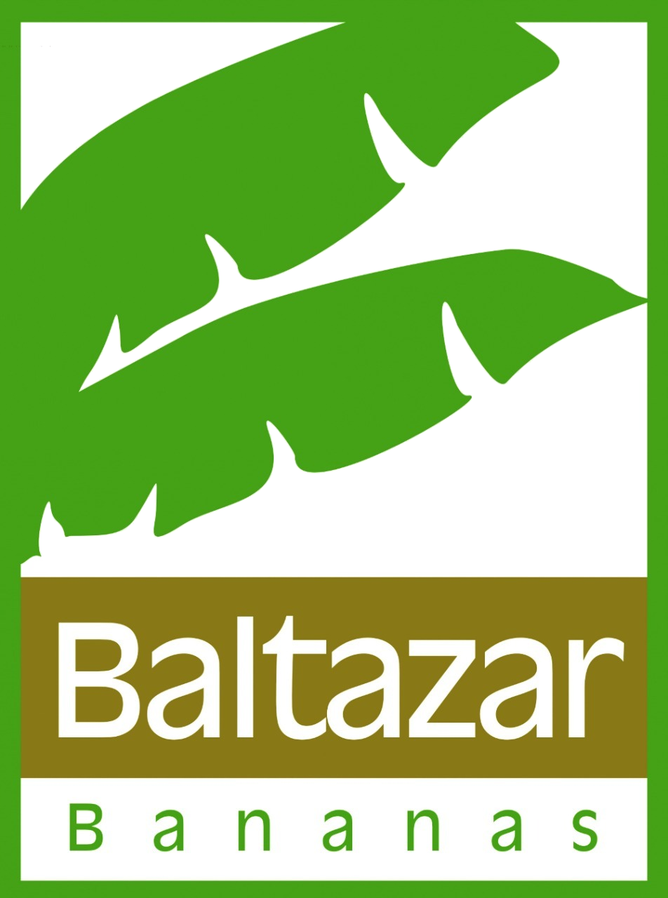 Imagem do patrocinador Baltazar Bananas